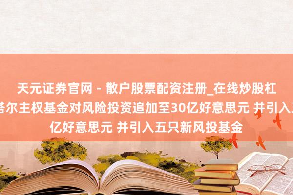 天元证券官网 - 散户股票配资注册_在线炒股杠杆官方开户 卡塔尔主权基金对风险投资追加至30亿好意思元 并引入五只新风投基金