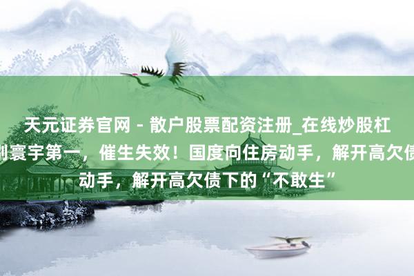 天元证券官网 - 散户股票配资注册_在线炒股杠杆官方开户 告别寰宇第一，催生失效！国度向住房动手，解开高欠债下的“不敢生”