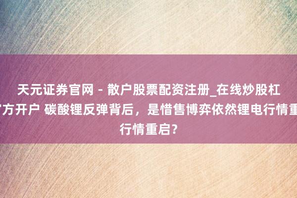天元证券官网 - 散户股票配资注册_在线炒股杠杆官方开户 碳酸锂反弹背后，是惜售博弈依然锂电行情重启？