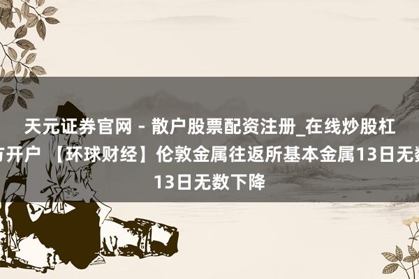 天元证券官网 - 散户股票配资注册_在线炒股杠杆官方开户 【环球财经】伦敦金属往返所基本金属13日无数下降