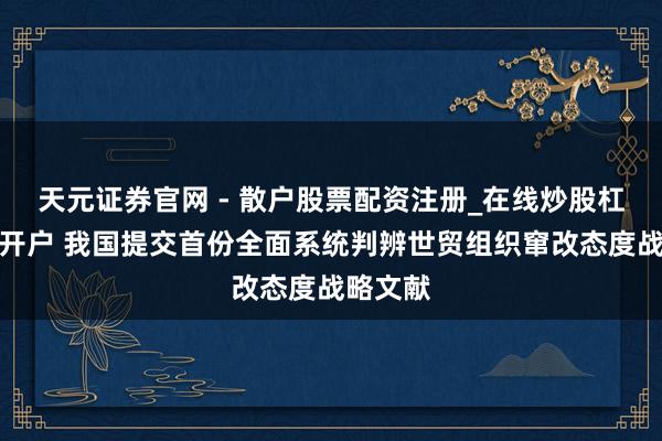 天元证券官网 - 散户股票配资注册_在线炒股杠杆官方开户 我国提交首份全面系统判辨世贸组织窜改态度战略文献