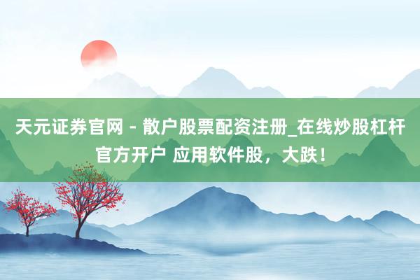 天元证券官网 - 散户股票配资注册_在线炒股杠杆官方开户 应用软件股，大跌！