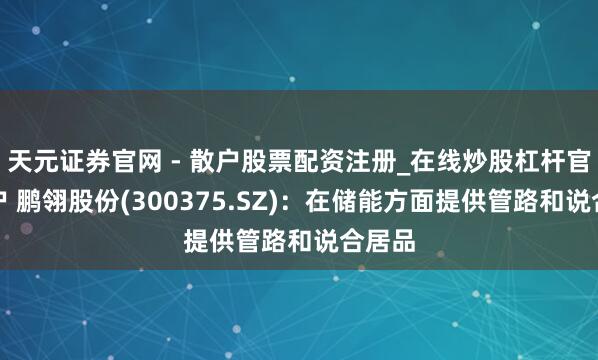 天元证券官网 - 散户股票配资注册_在线炒股杠杆官方开户 鹏翎股份(300375.SZ)：在储能方面提供管路和说合居品