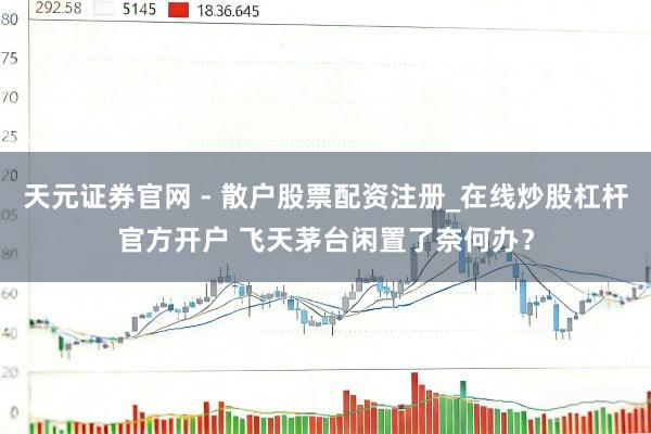 天元证券官网 - 散户股票配资注册_在线炒股杠杆官方开户 飞天茅台闲置了奈何办？