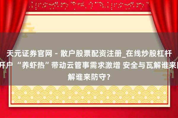 天元证券官网 - 散户股票配资注册_在线炒股杠杆官方开户 “养虾热”带动云管事需求激增 安全与瓦解谁来防守？