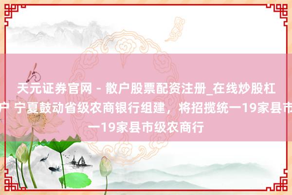 天元证券官网 - 散户股票配资注册_在线炒股杠杆官方开户 宁夏鼓动省级农商银行组建,将招揽统一19家县市级农商行