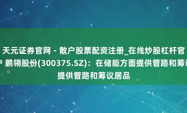 天元证券官网 - 散户股票配资注册_在线炒股杠杆官方开户 鹏翎股份(300375.SZ)：在储能方面提供管路和筹议居品