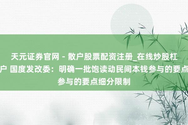 天元证券官网 - 散户股票配资注册_在线炒股杠杆官方开户 国度发改委：明确一批饱读动民间本钱参与的要点细分限制