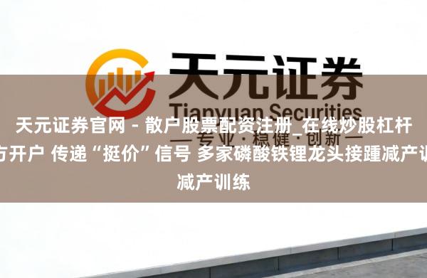 天元证券官网 - 散户股票配资注册_在线炒股杠杆官方开户 传递“挺价”信号 多家磷酸铁锂龙头接踵减产训练