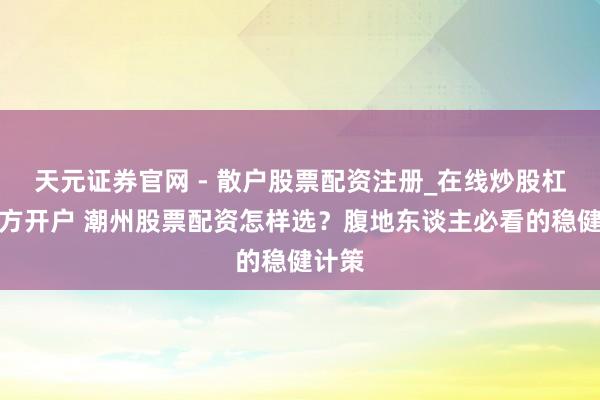 天元证券官网 - 散户股票配资注册_在线炒股杠杆官方开户 潮州股票配资怎样选？腹地东谈主必看的稳健计策