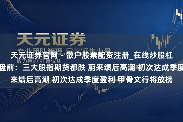 天元证券官网 - 散户股票配资注册_在线炒股杠杆官方开户 好意思股盘前：三大股指期货都跌 蔚来绩后高潮 初次达成季度盈利 甲骨文行将放榜