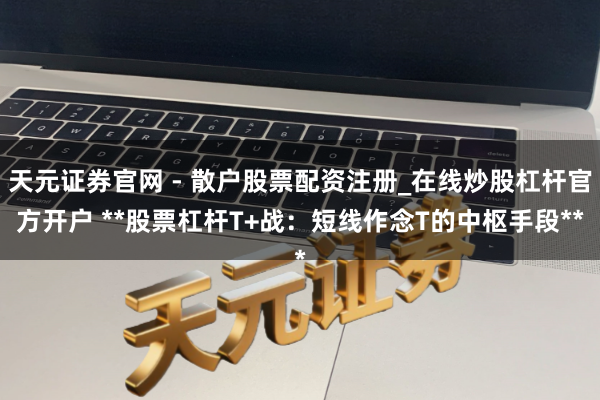 天元证券官网 - 散户股票配资注册_在线炒股杠杆官方开户 **股票杠杆T+战：短线作念T的中枢手段**